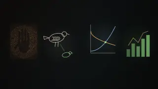 Left to right: a cave-wall handprint, a detailed bird sketch simplifying into a few strokes, a coordinate plane where two curves cross, and a small bar-and-line chart, joined by a thin line on a dark background.